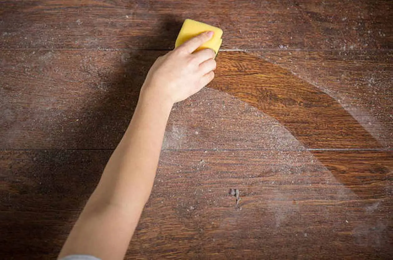 Il metodo infallibile per eliminare la polvere in casa senza fatica Il metodo infallibile per eliminare la polvere in casa senza fatica