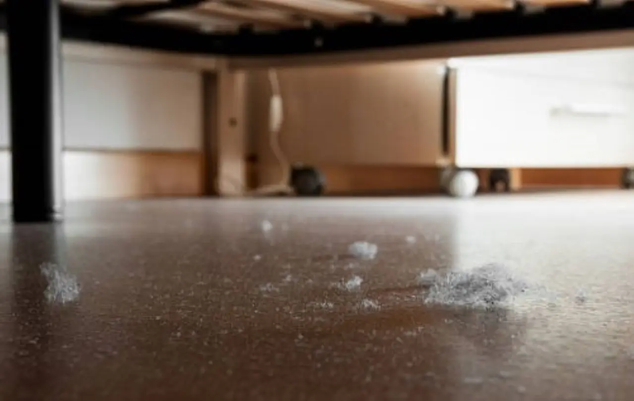 Il metodo infallibile per eliminare la polvere in casa senza fatica Il metodo infallibile per eliminare la polvere in casa senza fatica