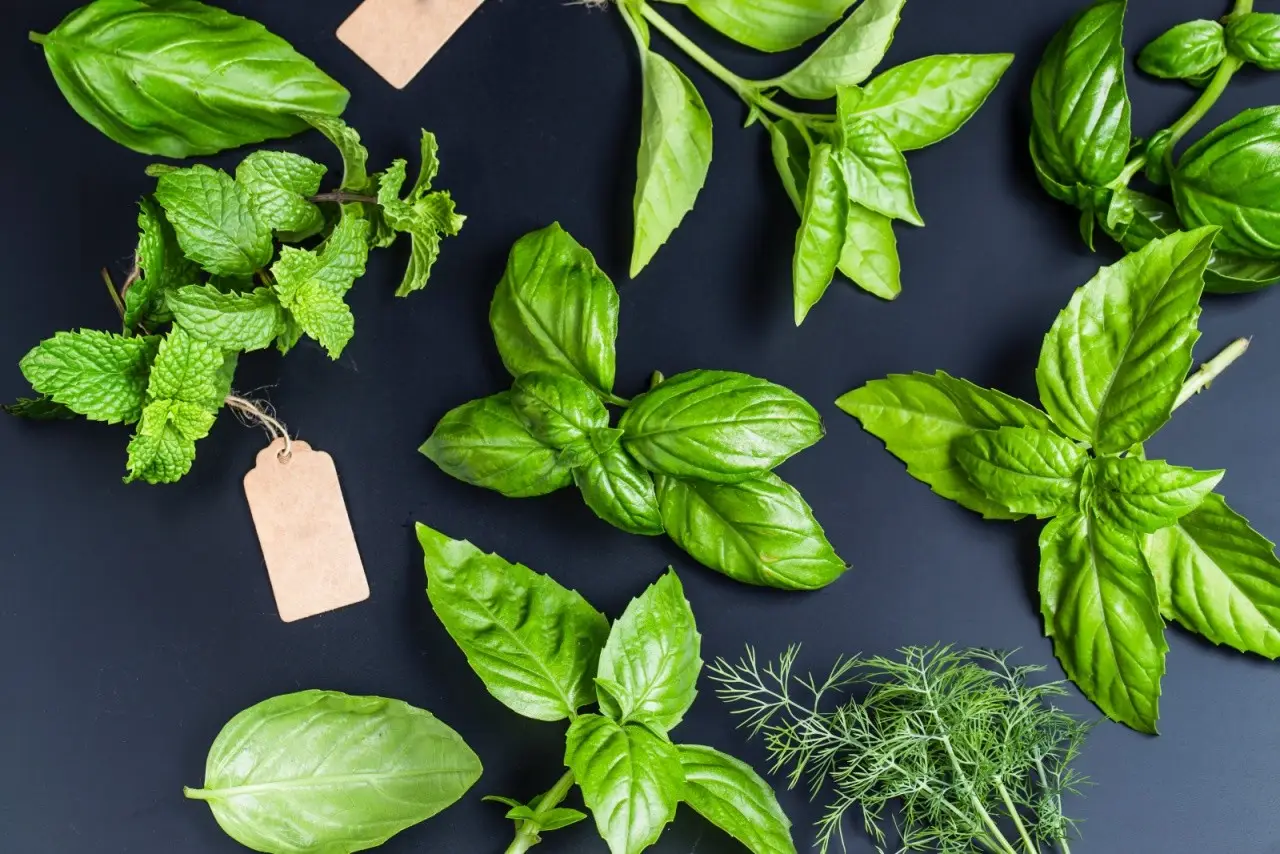 Rosmarino e aromatiche: ecco come coltivarli insieme senza errori Rosmarino e aromatiche: ecco come coltivarli insieme senza errori