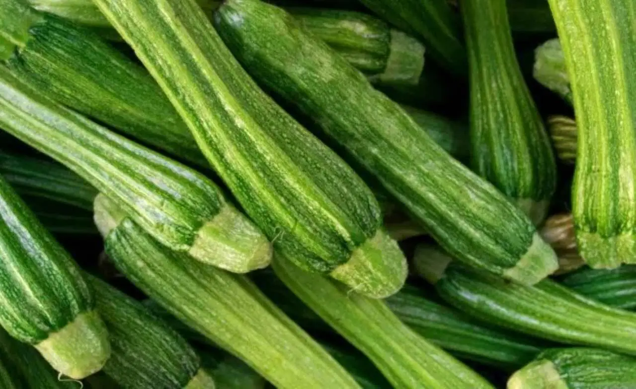 Non perdere questa tecnica tramandata: massimizza la resa delle tue zucchine in estate Non perdere questa tecnica tramandata: massimizza la resa delle tue zucchine in estate