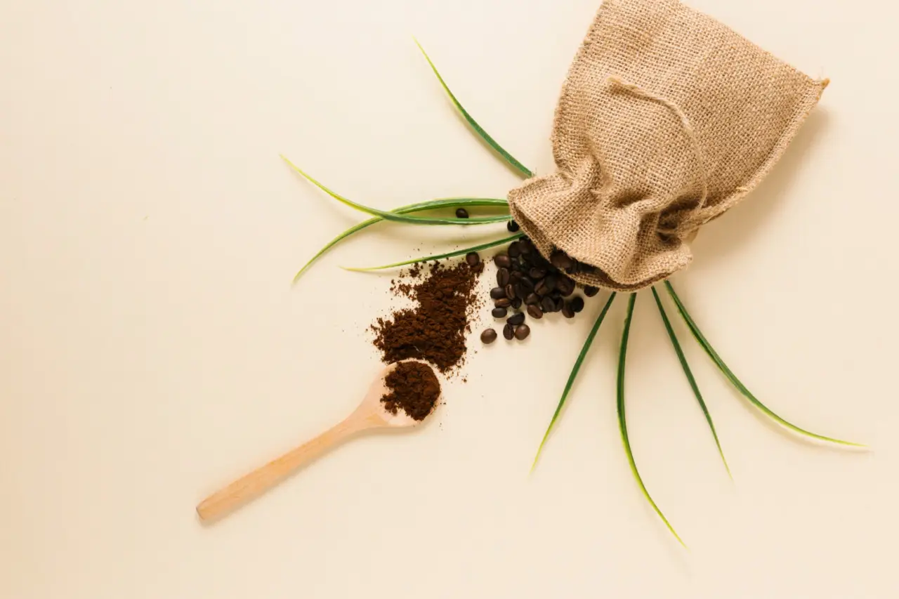 Scopri tre metodi naturali per prevenire i danni più comuni al tuo orto estivo Scopri tre metodi naturali per prevenire i danni più comuni al tuo orto estivo