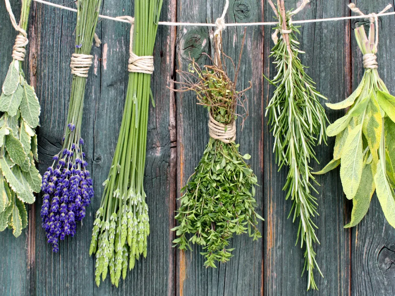 Non sprecare il raccolto: scopri ora i segreti della corretta conservazione delle erbe aromatiche Non sprecare il raccolto: scopri ora i segreti della corretta conservazione delle erbe aromatiche