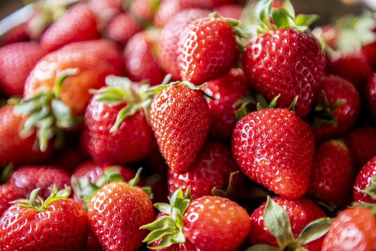 Scopri come prevenire la muffa nelle fragole con uno spray fatto in casa in pochi minuti Scopri come prevenire la muffa nelle fragole con uno spray fatto in casa in pochi minuti
