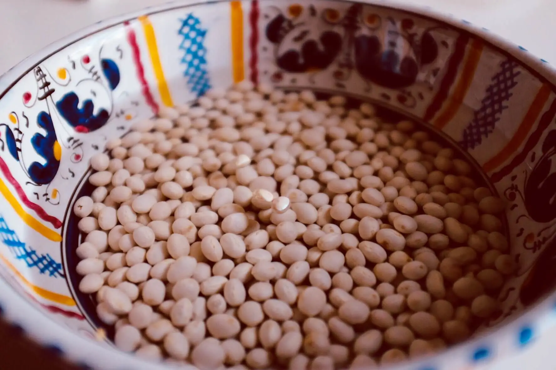 Scopri l’errore sottovalutato che rovina spesso la semina dei fagiolini in vaso Scopri l’errore sottovalutato che rovina spesso la semina dei fagiolini in vaso