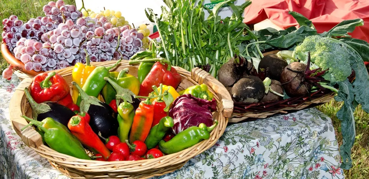 Perché le tue insalate non crescono? Analizza questi errori e migliora subito il raccolto Perché le tue insalate non crescono? Analizza questi errori e migliora subito il raccolto