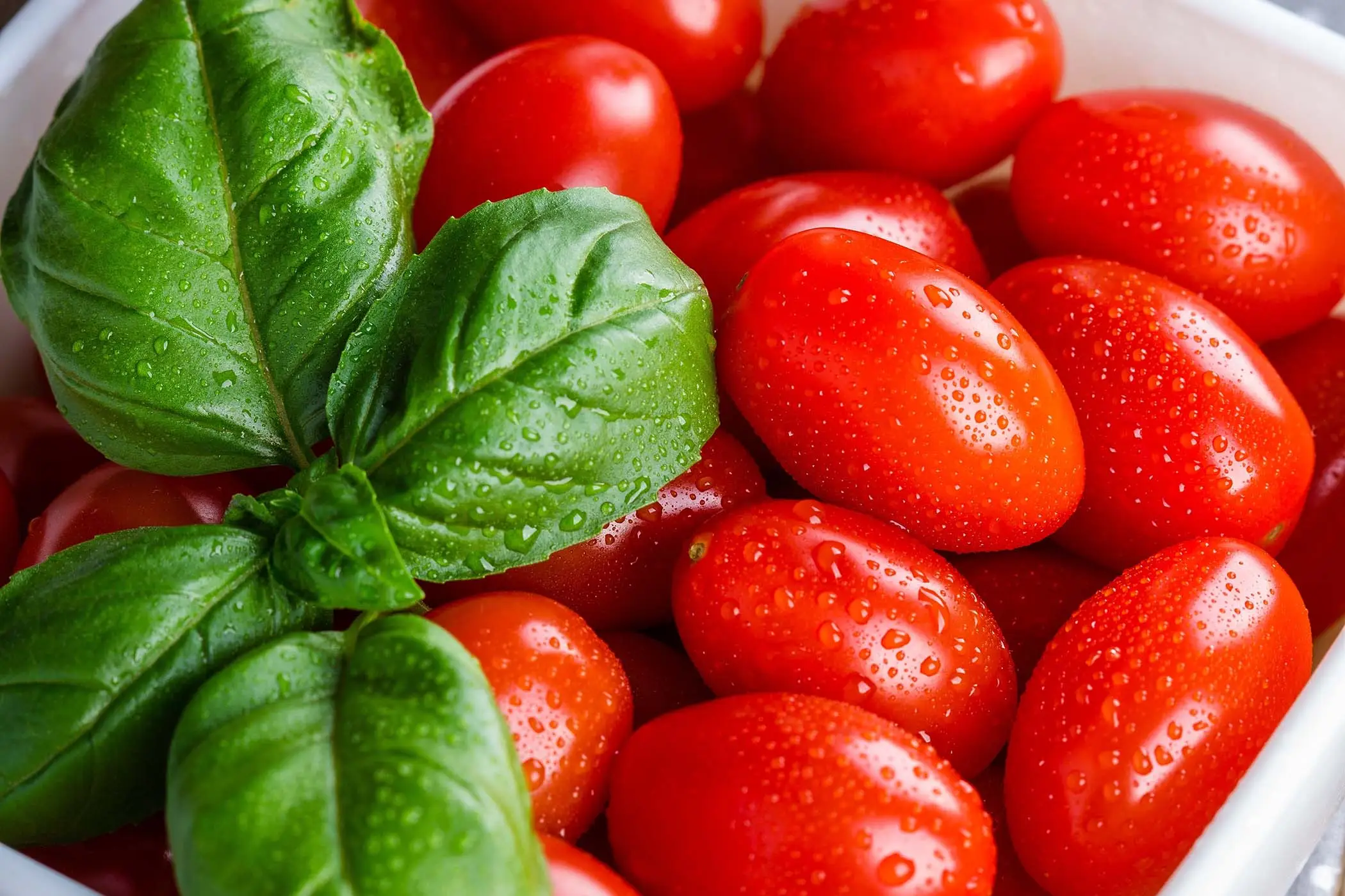 Scopri il trucco poco noto per ottenere pomodori da balcone ricchi e saporiti subito Scopri il trucco poco noto per ottenere pomodori da balcone ricchi e saporiti subito