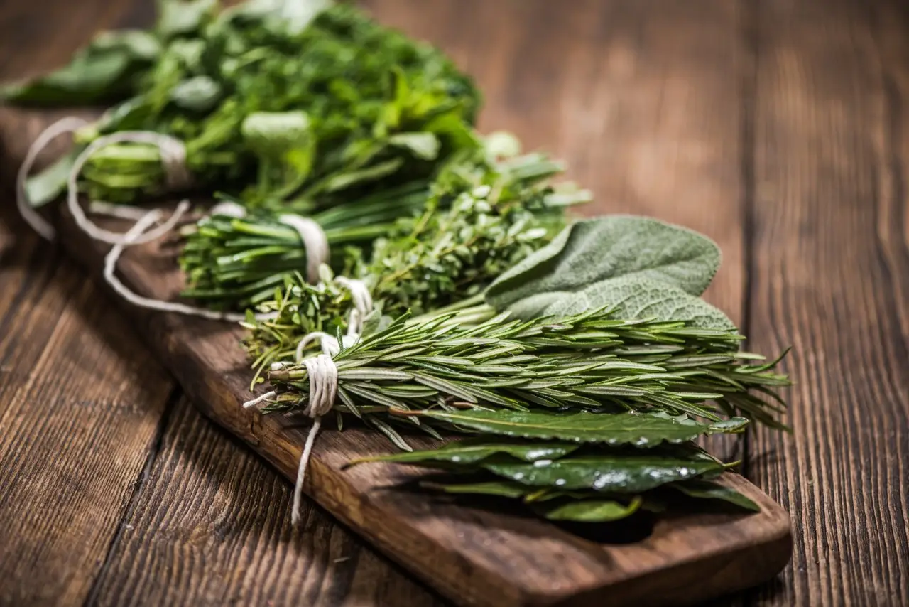 Vuoi massimizzare il raccolto di erbe aromatiche? Ecco il passaggio che molti ignorano Vuoi massimizzare il raccolto di erbe aromatiche? Ecco il passaggio che molti ignorano
