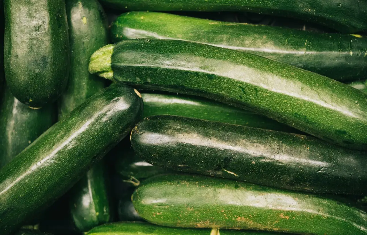 Non trascurare questo semplice gesto: fa la differenza nella crescita delle zucchine Non trascurare questo semplice gesto: fa la differenza nella crescita delle zucchine