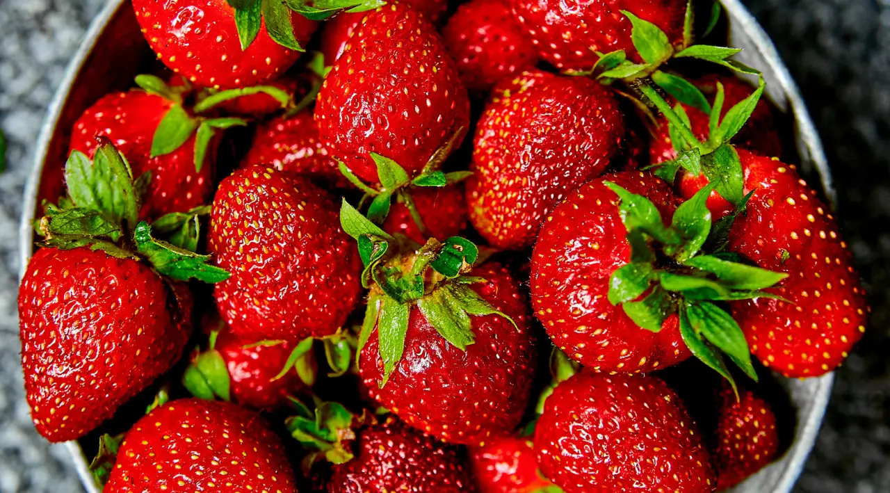 Vuoi fragole più dolci e resistenti? Ecco la soluzione che non tutti applicano Vuoi fragole più dolci e resistenti? Ecco la soluzione che non tutti applicano