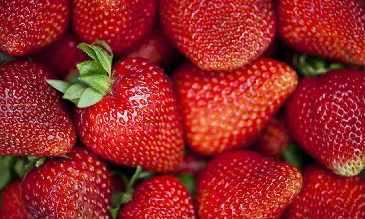 Vuoi fragole più dolci e resistenti? Ecco la soluzione che non tutti applicano Vuoi fragole più dolci e resistenti? Ecco la soluzione che non tutti applicano