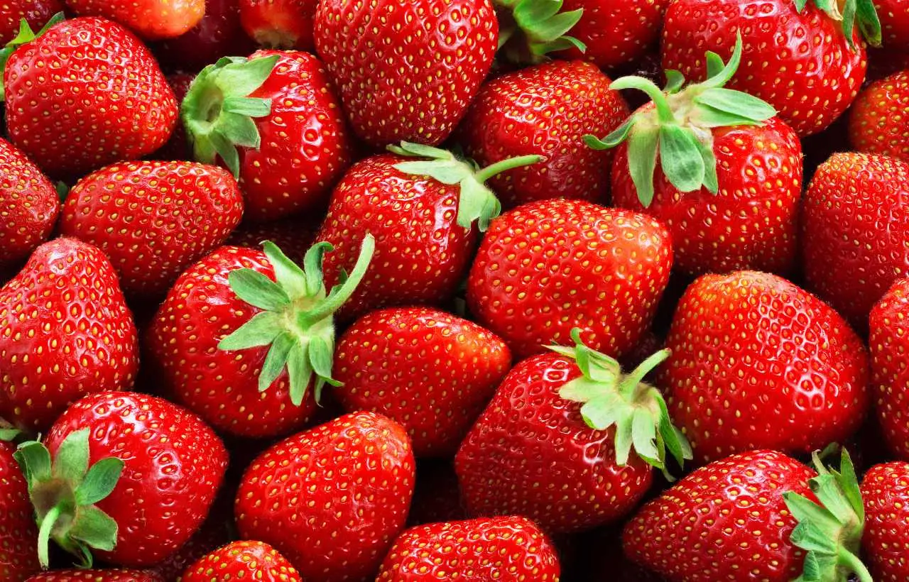 Vuoi fragole più dolci e resistenti? Ecco la soluzione che non tutti applicano Vuoi fragole più dolci e resistenti? Ecco la soluzione che non tutti applicano