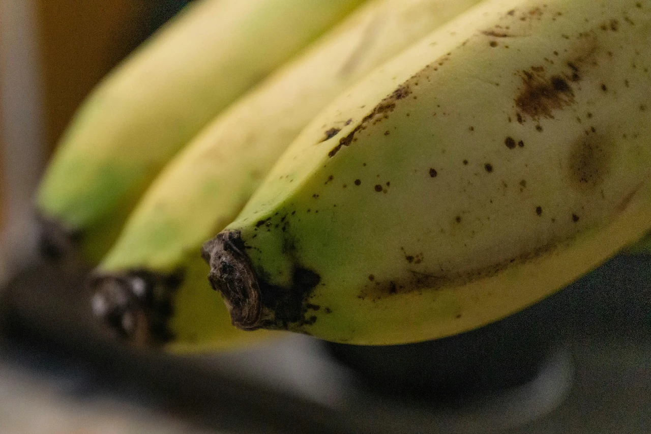 Una soluzione casalinga a base di buccia di banana per nutrire rapidamente le orchidee Una soluzione casalinga a base di buccia di banana per nutrire rapidamente le orchidee