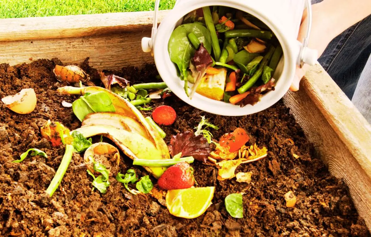 Come scegliere i concimi naturali per far esplodere i fiori delle surfinie