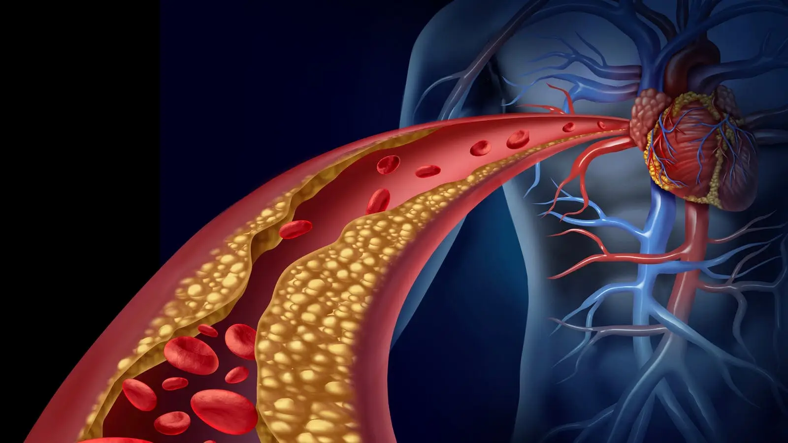 A chi rivolgersi per la salute delle arterie? Scopri quali specialisti si occupano della prevenzione e cura delle malattie cardiovascolari