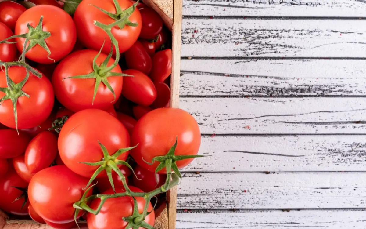 Scopri i pomodori a crescita determinata: quali sono e perché possono fare la differenza nel tuo orto