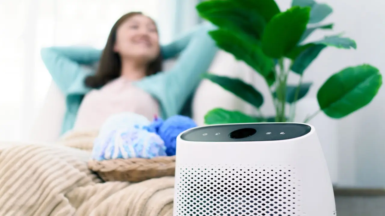 Come riscaldare e deumidificare una stanza: soluzioni pratiche per creare un ambiente più sano e confortevole Come riscaldare e deumidificare una stanza: soluzioni pratiche per creare un ambiente più sano e confortevole