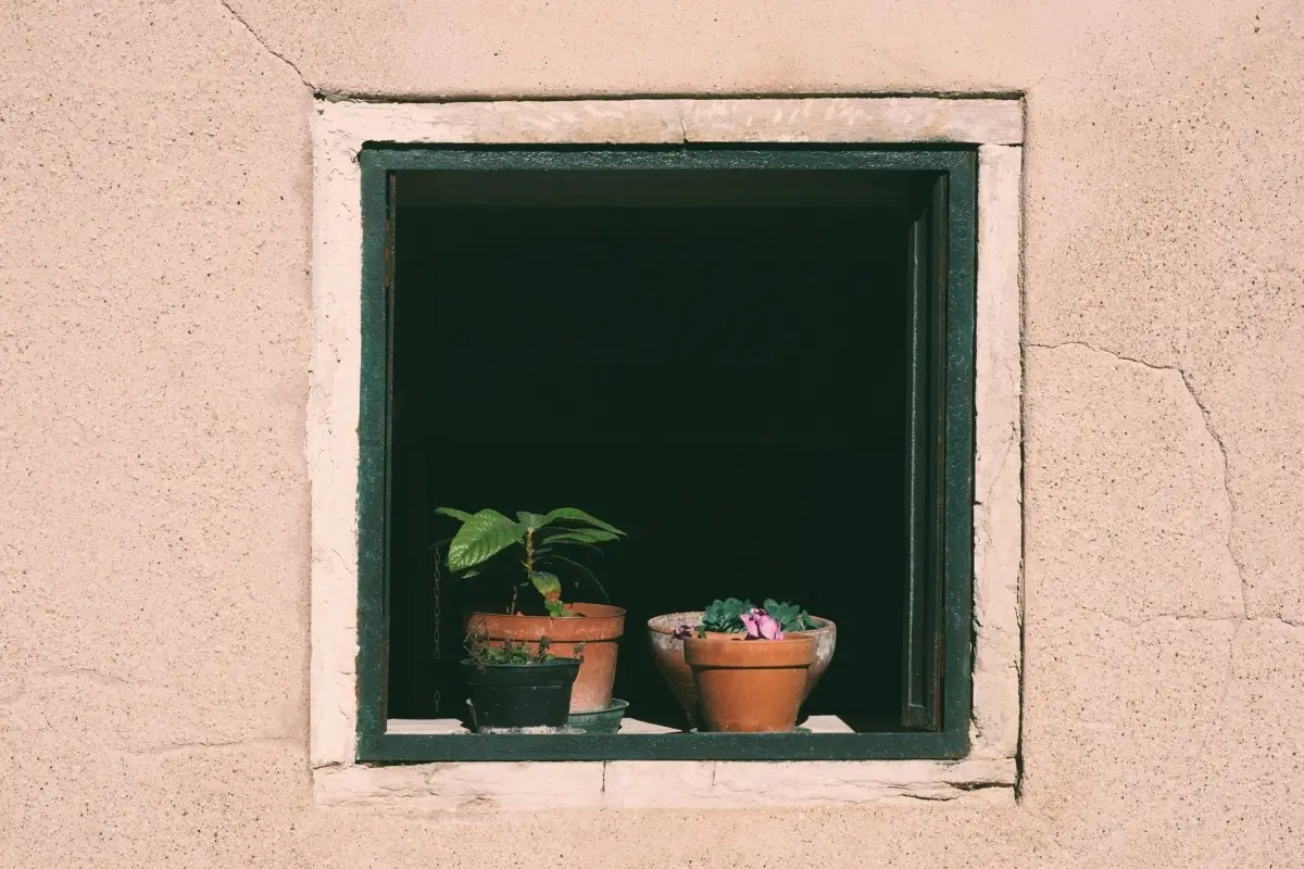 Terra argillosa nei vasi da balcone: il segreto per salvare le piante dal caldo Terra argillosa nei vasi da balcone: il segreto per salvare le piante dal caldo