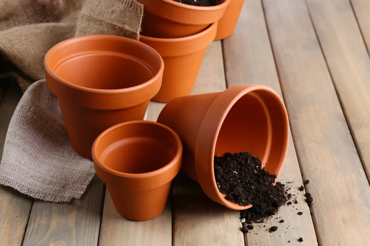 Terra argillosa nei vasi da balcone: il segreto per salvare le piante dal caldo Terra argillosa nei vasi da balcone: il segreto per salvare le piante dal caldo