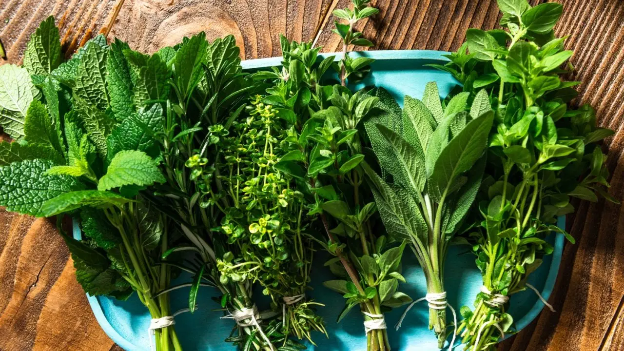 Piante aromatiche sul davanzale? Il momento chiave per ottenere un raccolto più ricco Piante aromatiche sul davanzale? Il momento chiave per ottenere un raccolto più ricco