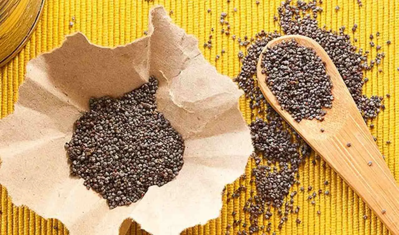 Semi di basilico in cucina: agisci così adesso per risultati fuori dall’ordinario Semi di basilico in cucina: agisci così adesso per risultati fuori dall’ordinario