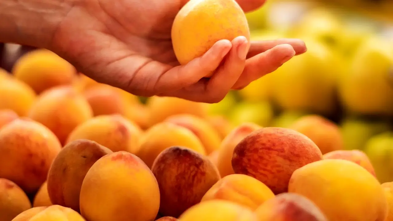 Non commettere questo sbaglio comune e salva il raccolto di pesche e albicocche Non commettere questo sbaglio comune e salva il raccolto di pesche e albicocche
