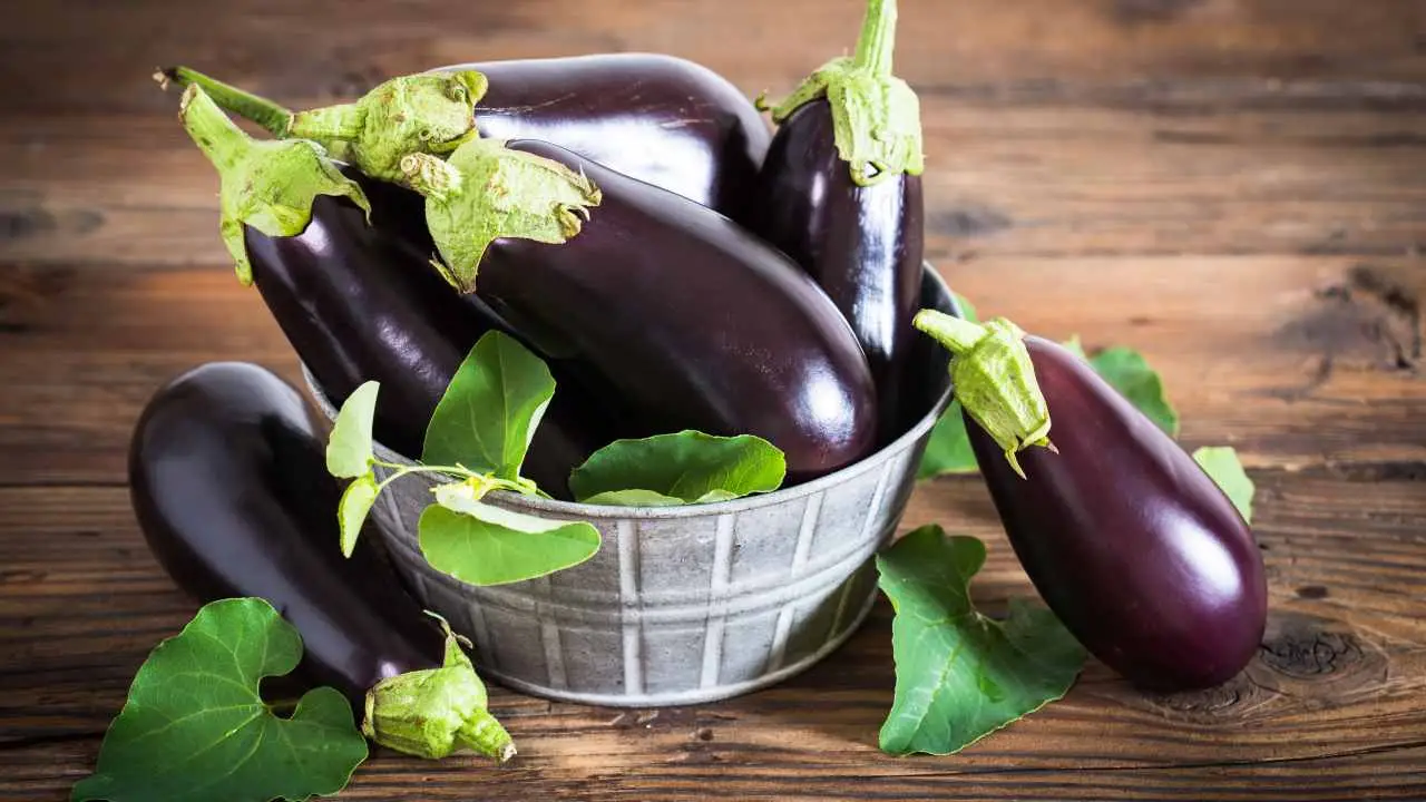 Hai mai provato questa soluzione naturale contro i parassiti delle melanzane? Funziona veramente Hai mai provato questa soluzione naturale contro i parassiti delle melanzane? Funziona veramente