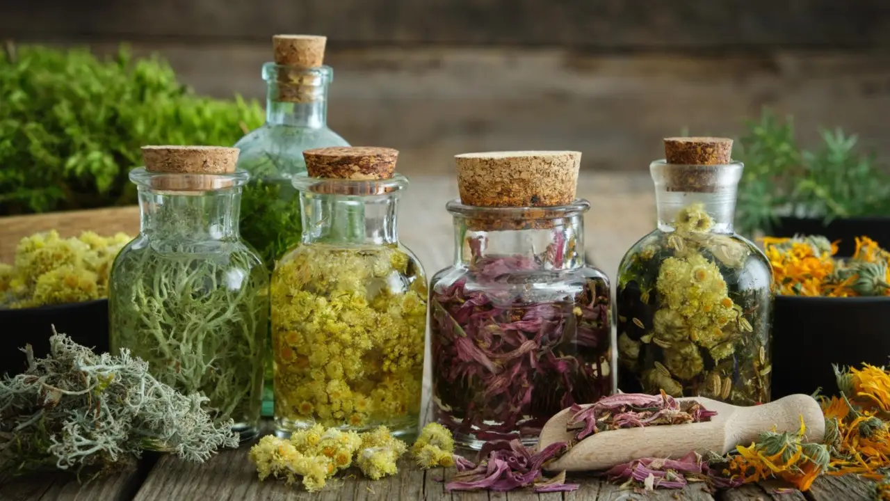 Non sprecare il raccolto: scopri ora i segreti della corretta conservazione delle erbe aromatiche Non sprecare il raccolto: scopri ora i segreti della corretta conservazione delle erbe aromatiche