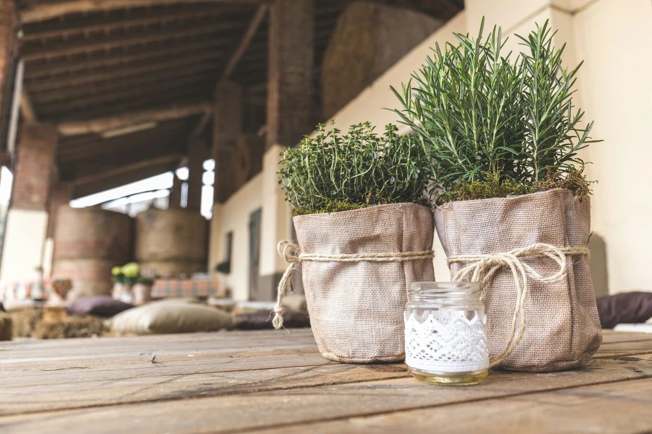 Non sprecare il raccolto: scopri ora i segreti della corretta conservazione delle erbe aromatiche Non sprecare il raccolto: scopri ora i segreti della corretta conservazione delle erbe aromatiche