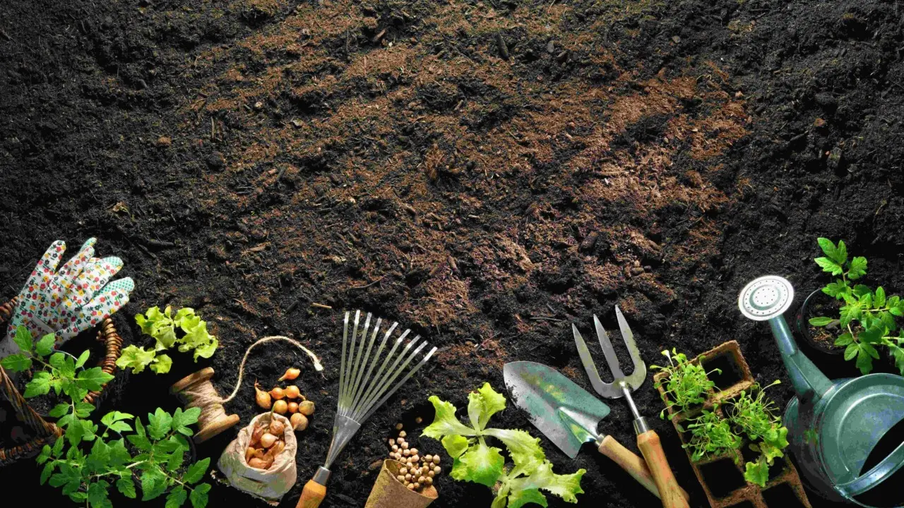 Rendi il tuo compost più efficace usando questa miscela naturale consigliata dagli esperti Rendi il tuo compost più efficace usando questa miscela naturale consigliata dagli esperti