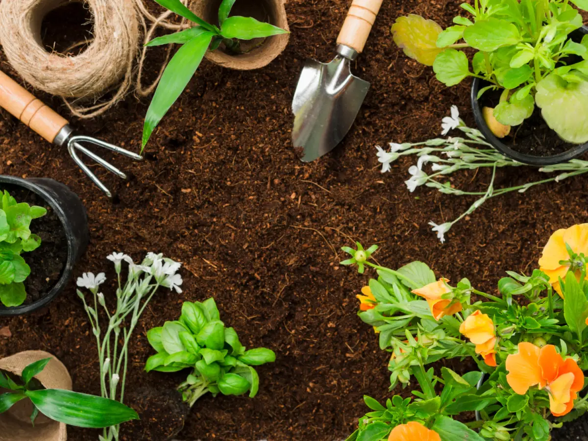 Rendi il tuo compost più efficace usando questa miscela naturale consigliata dagli esperti Rendi il tuo compost più efficace usando questa miscela naturale consigliata dagli esperti