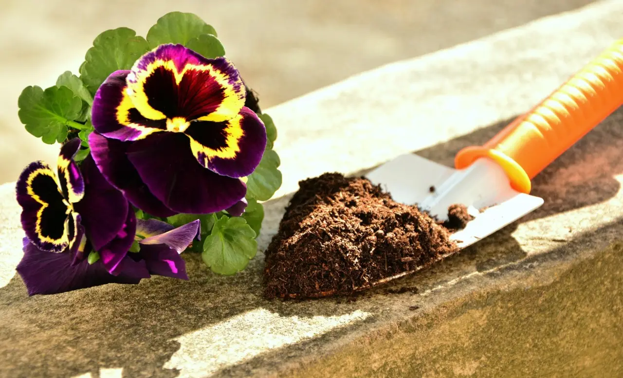 Rendi il tuo compost più efficace usando questa miscela naturale consigliata dagli esperti Rendi il tuo compost più efficace usando questa miscela naturale consigliata dagli esperti