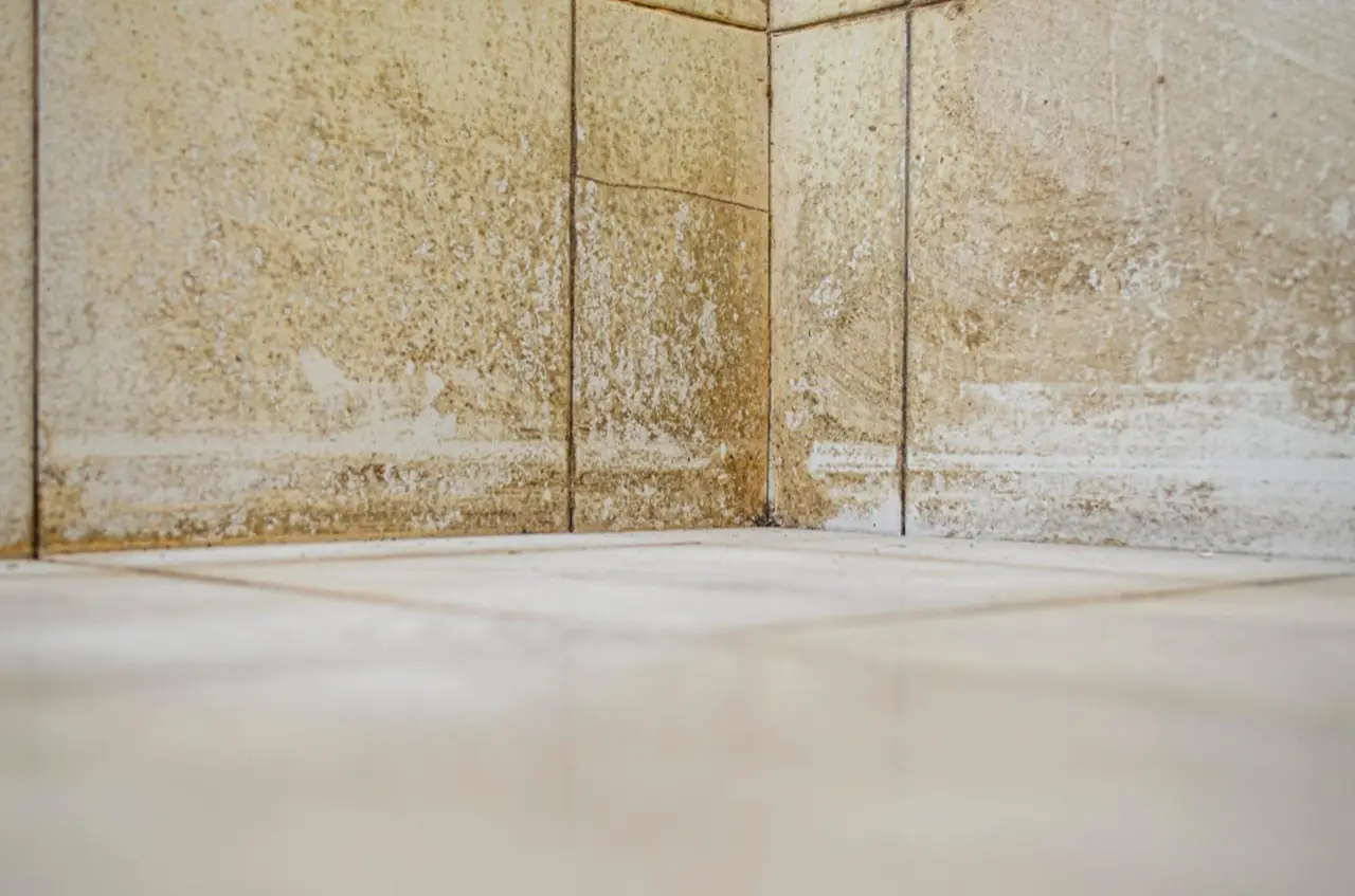 Malerbe tra le mattonelle: scopri il metodo casalingo per eliminarle senza residui Malerbe tra le mattonelle: scopri il metodo casalingo per eliminarle senza residui