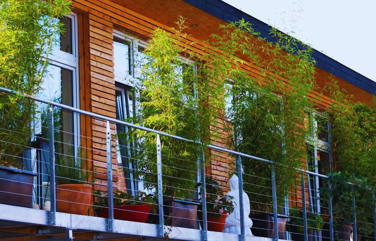 Trasforma il balcone con piante facili e resistenti alla siccità, ideali in città Trasforma il balcone con piante facili e resistenti alla siccità, ideali in città