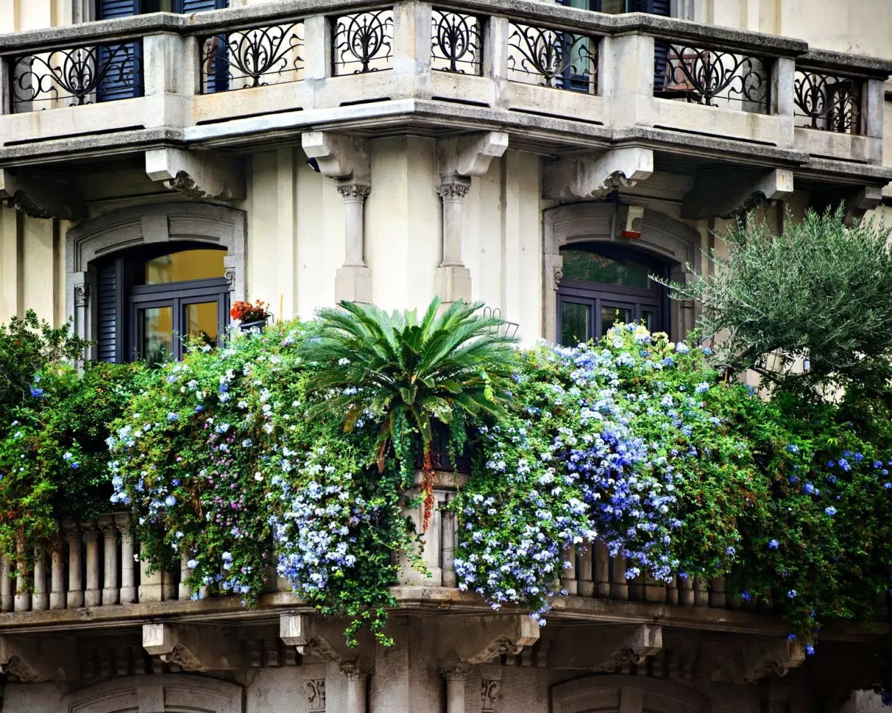 Trasforma il balcone con piante facili e resistenti alla siccità, ideali in città Trasforma il balcone con piante facili e resistenti alla siccità, ideali in città