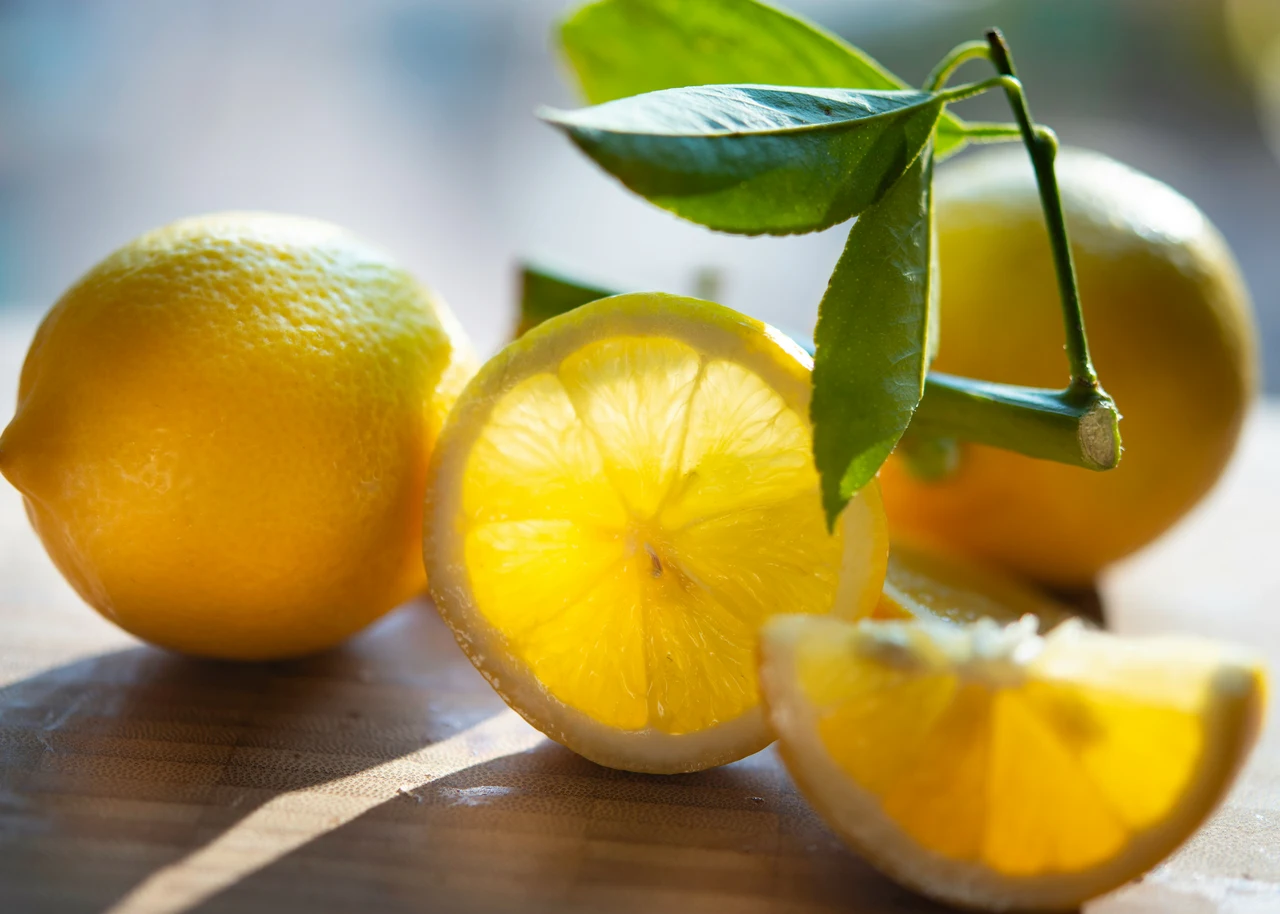 Scegli la pianta aromatica più efficace contro le zanzare in estate e profuma casa Scegli la pianta aromatica più efficace contro le zanzare in estate e profuma casa